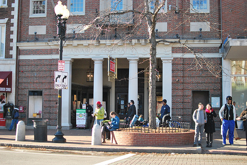 harvard-campus