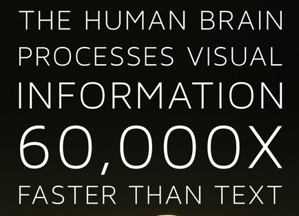 the-human-brain-process-visual-information